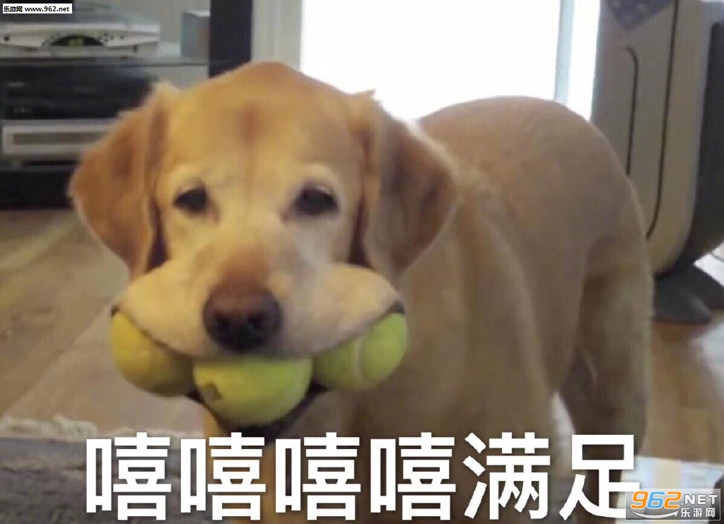失去梦想变成鸡腿表情包图片截图1