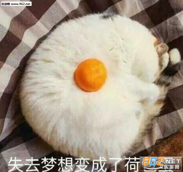 失去梦想变成鸡腿表情包图片截图6