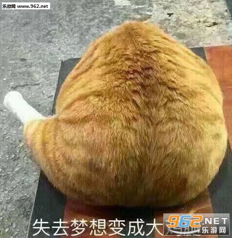 失去梦想变成鸡腿表情包图片截图7