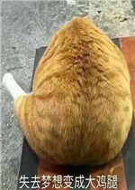 ʧȥ�����ɼ��ȱ����ͼƬ