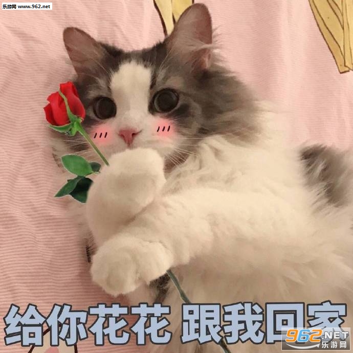 ���˷����ҵĻ��¹����˱����ͼƬ��ͼ12