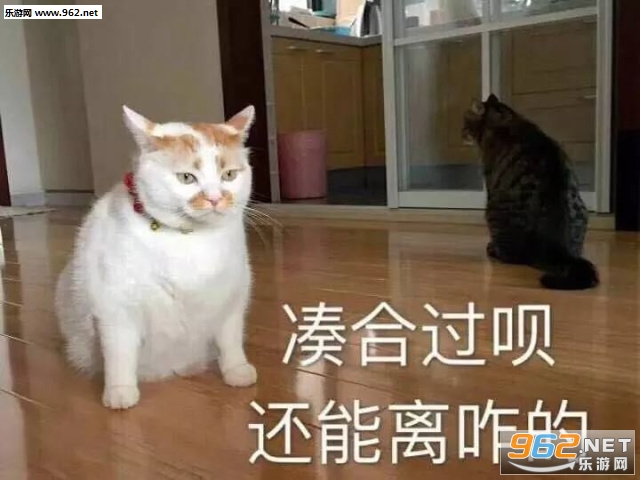 �㻵�������ͼƬ��ͼ0