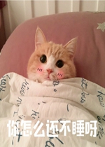 ���䰡����Ҳ�������˯����è������