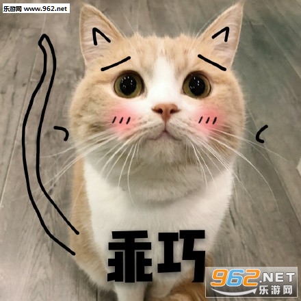 ���䰡����Ҳ�������˯����è��������ͼ0