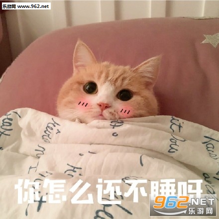 ���䰡����Ҳ�������˯����è��������ͼ3