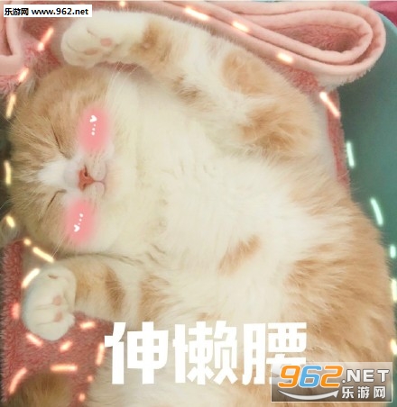���䰡����Ҳ�������˯����è��������ͼ2