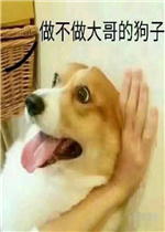 ���������Ĺ��ӱ����ͼƬ