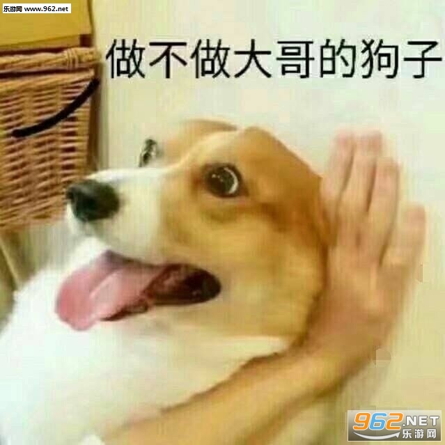 ���������Ĺ��ӱ����ͼƬ��ͼ3