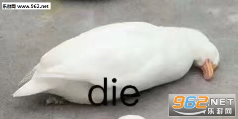 ���������Ĺ��ӱ����ͼƬ��ͼ9