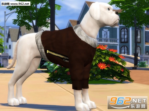 模拟人生4大型犬狗狗外套MODv1.36截图0