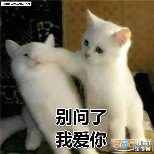 ����һ��û�и����ɱ��è�����ͼƬ��ͼ0