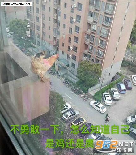 ����һ��û�и����ɱ��è�����ͼƬ��ͼ2