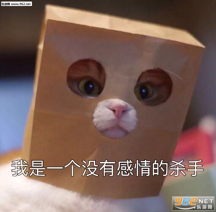 ����һ��û�и����ɱ��è�����ͼƬ��ͼ8