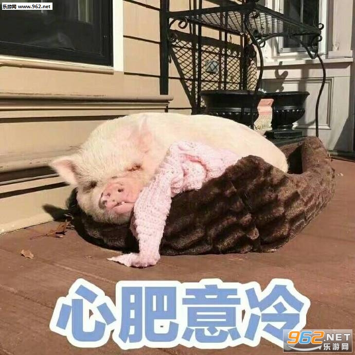����һ��û�и����ɱ��ʲô���������ͼƬ��ͼ0