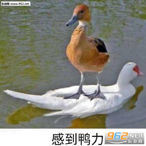����һ��û�и����ɱ��ʲô���������ͼƬ��ͼ9