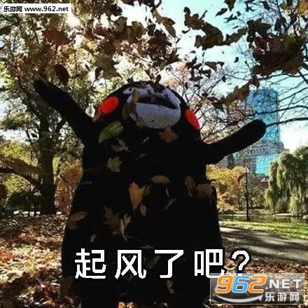 ��ͦ��û��ǣ�����ı����ͼƬ��ͼ0