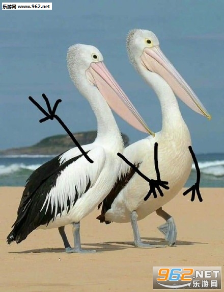 ��С����ֱ����ͼƬ��ȫ��ͼ2