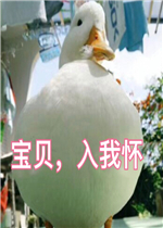 ���㿴�����������ͼƬȫ��