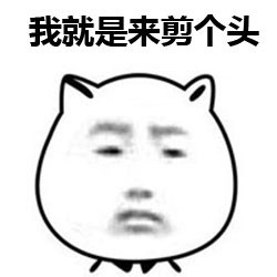 Tony老师我就是来剪个头表情包截图0