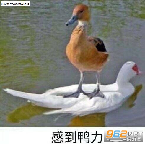 �е�Ѽ�������ͼƬ��ͼ3