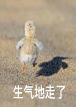 ǣ�޵��־�����è������ͼƬ
