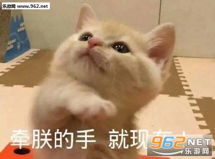 ǣ�޵��־�����è������ͼƬ��ͼ1