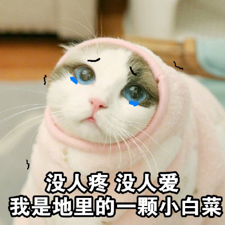 ��ֻ�밲������������ĸ��ű����