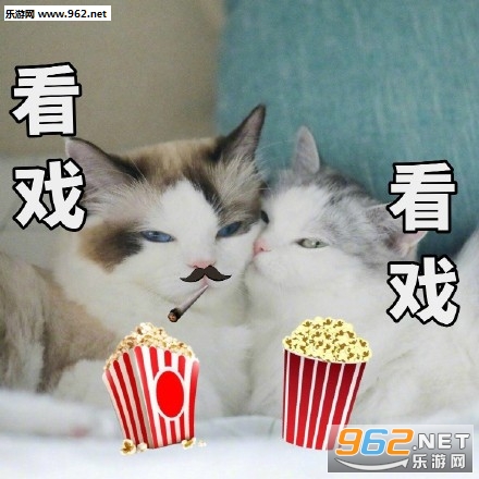 ��ֻ�밲������������ĸ��ű������ͼ0