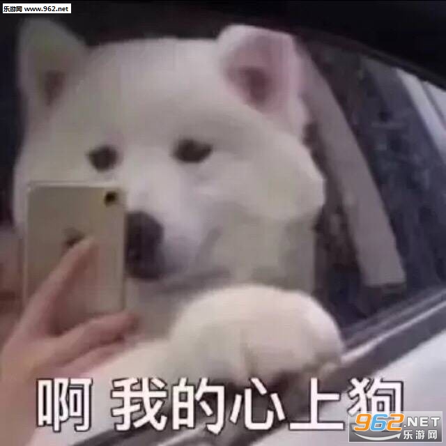 ƭ����Сè�����ͼƬ��ͼ4