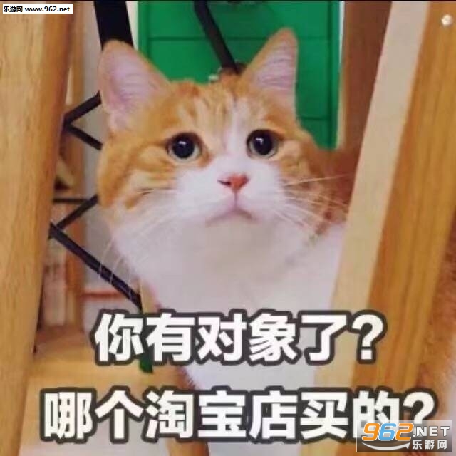 ƭ����Сè�����ͼƬ��ͼ5