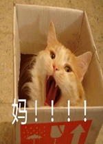 ������΢�ž���������ʱ����Է���Щ�����