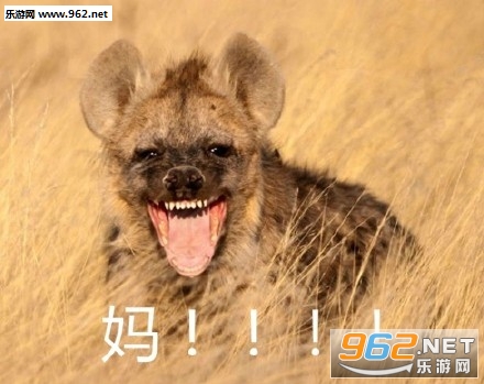 ������΢�ž���������ʱ����Է���Щ�������ͼ1