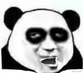 ֹͣ����Ի�����èͷ������̬��Ц�������ͼ5
