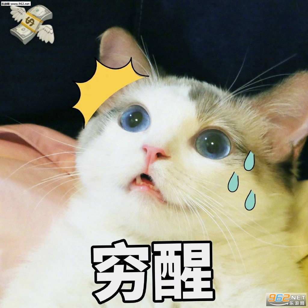 û��50�ȵľ�˵�����ҵĹ��±����ͼƬ��ͼ2