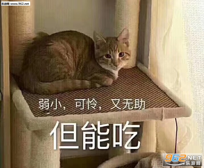 û��50�ȵľ�˵�����ҵĹ��±����ͼƬ��ͼ5