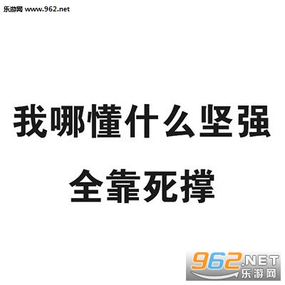 我哪懂什么坚强全靠死撑朋友圈封面图片文字版截图8