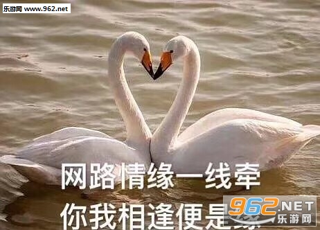 网络情缘一线牵表情包图片截图8