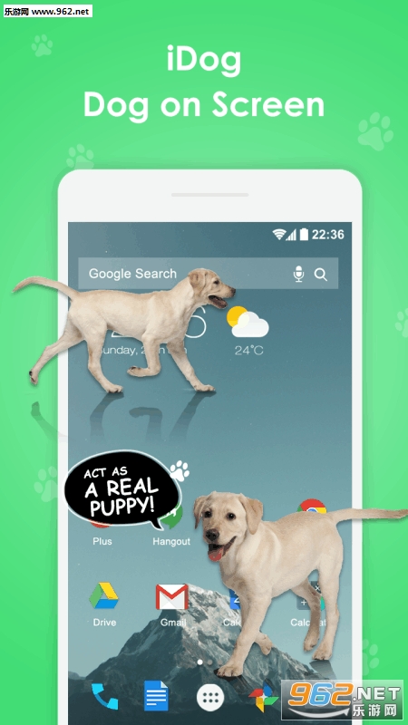 Bunny In Phone Cute joke�ֻ���Ļ��С����������ͼ3