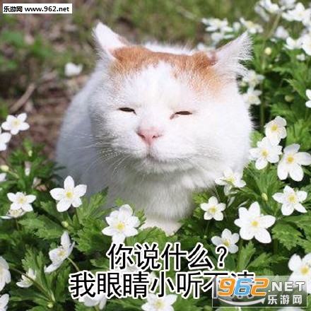 ��ΪʲôҪ�ϰ�ɥè�������ͼ1