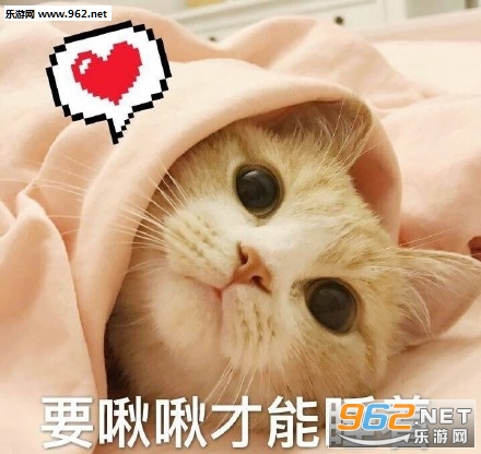 ��ΪʲôҪ�ϰ�ɥè�������ͼ2