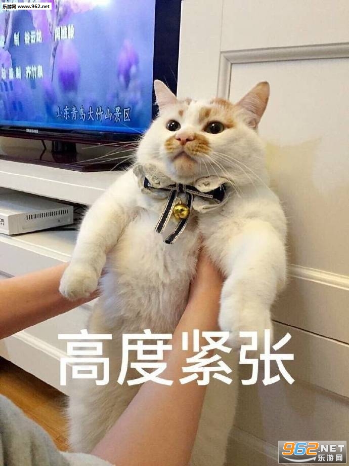 低头整理我的伤悲民国表情包图片截图4
