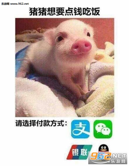低头整理我的伤悲民国表情包图片截图5