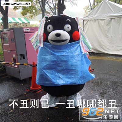 不熬则已一熬秃顶表情包图片大全截图8