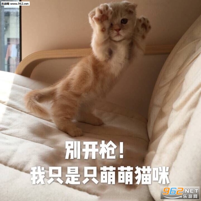 �ҵĺ�����ƨ����¶������ͼƬ��ͼ3