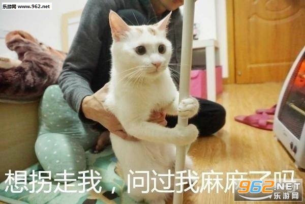 С�����������ҵĹ�����������ͼƬ��ͼ1