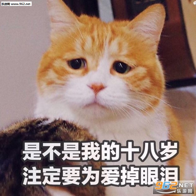 С�����������ҵĹ�����������ͼƬ��ͼ11