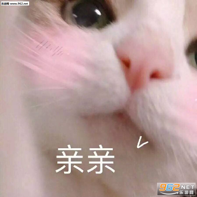 ������ֱ����ͼƬ��ͼ12