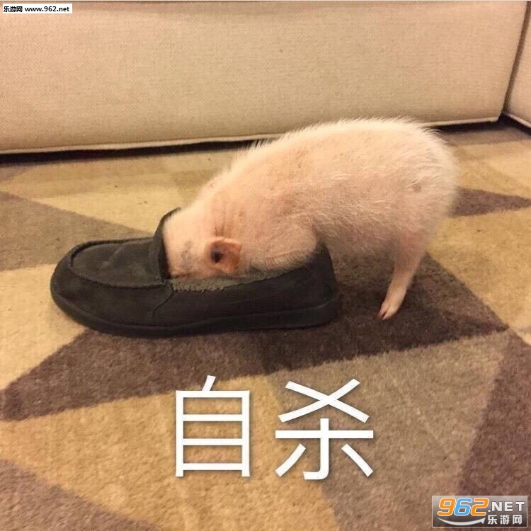����ɱ�������Ц����ͼƬ��ͼ8