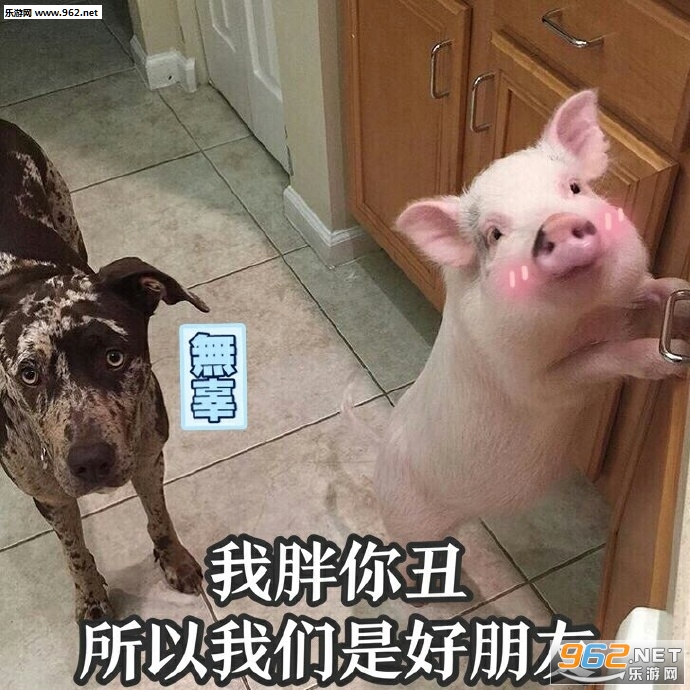 ����ɱ�������Ц����ͼƬ��ͼ18