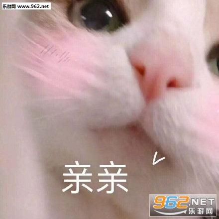����������˽�������ͼ0